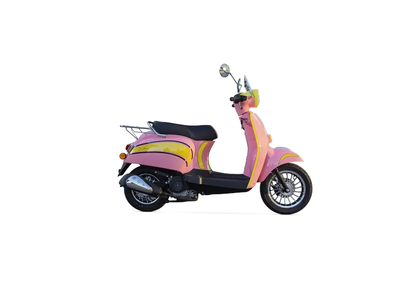 Turtle 50 Pembe